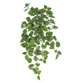 Pothos Hanging plant (Fire retardant) Green H80