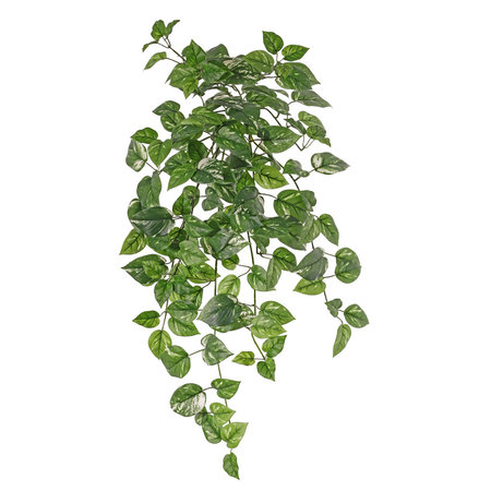 Pothos hangplant (Brandvertragend) Groen H80