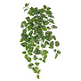 Pothos Hanging plant (Fire retardant) Green H80