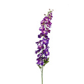 Delphinium Purple H128