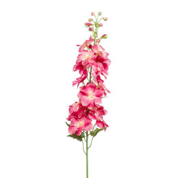 Delphinium Spray Pink H95