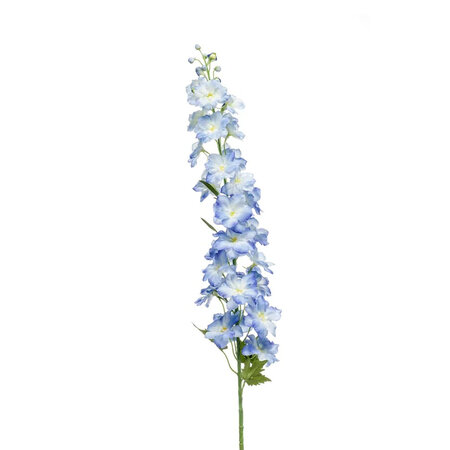 Delphinium Blue  H128