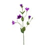 Lisianthus Purple H72