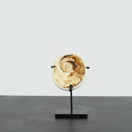 Shell on stand D8 H17