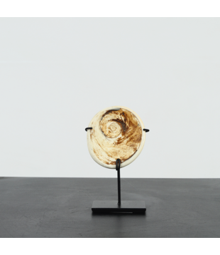 Shell on stand D8 H17