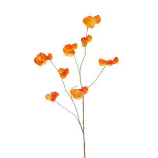 Physalis Branch Orange H100