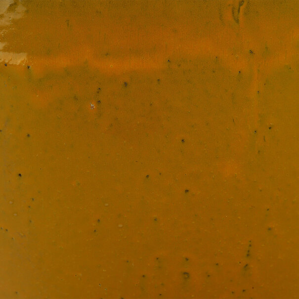 Schaal Jans Oranje/Geel D55 H34