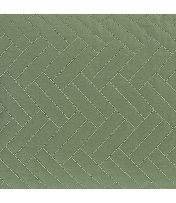 Cushion Fukuoka Green L50 B35