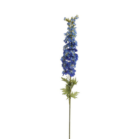 Delphinium Tak Blauw