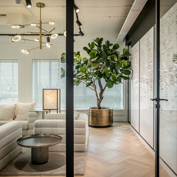 Ficus Lyrata Deluxe Green H260 D200
