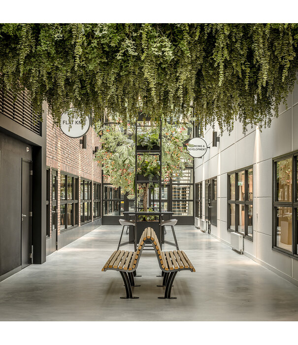 Eucalyptus Hangend Groen H120