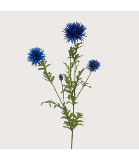 Cornflower Blue H100