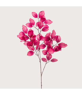 Berkenblad Tak Fuchsia H90
