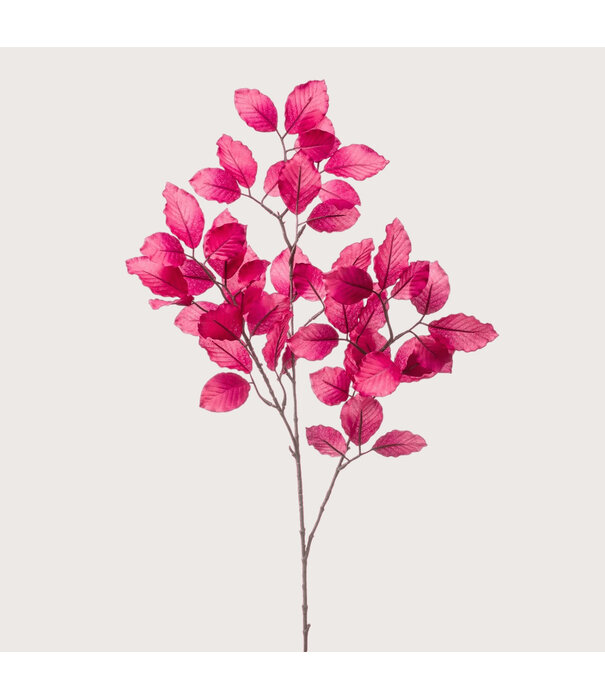 Berkenblad Tak Fuchsia H90