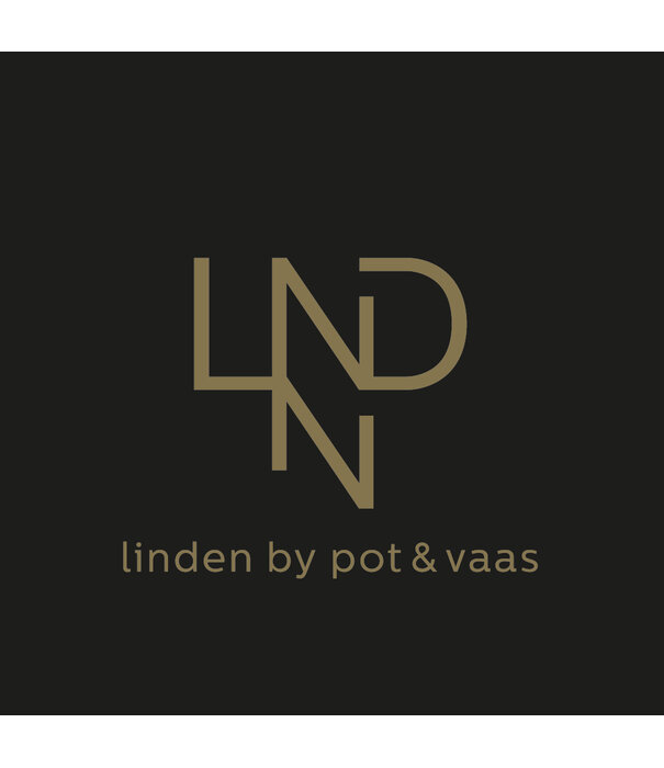 Cushion Kanazawa Grey L60 B60