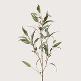 Eucalyptus Branch with seeds Green H115