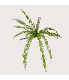 Bosvaren Steker Deluxe Groen H105