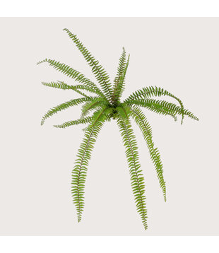 Bosvaren Steker Deluxe Groen H105