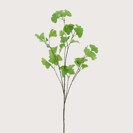 Ginko Tak Green H126