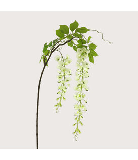 Wisteria Crème H142