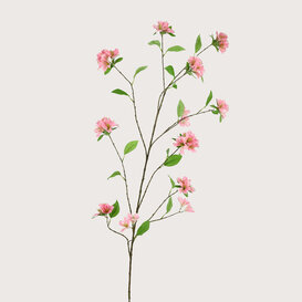Rhododendron Branch Pink H165