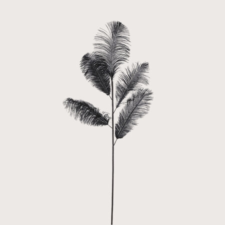 feather branch