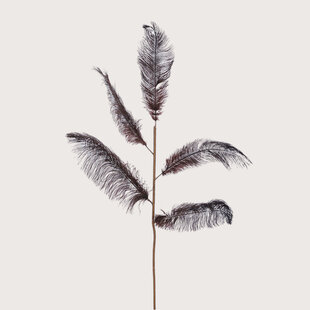 Feathers Branch Brown L125 B30