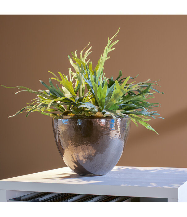 Hertshoorn Steker Groen H38