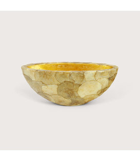 Pot Capiz Oval Gold L40 W15 H16