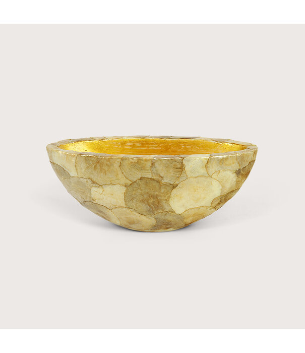Pot Capiz Ovaal Goud L40 B15 H16