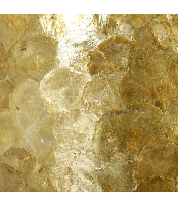 Pot Capiz Ovaal Goud L40 B15 H16