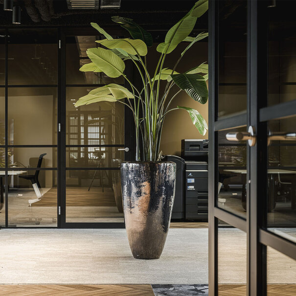 Strelitzia Plant Green H235 D170