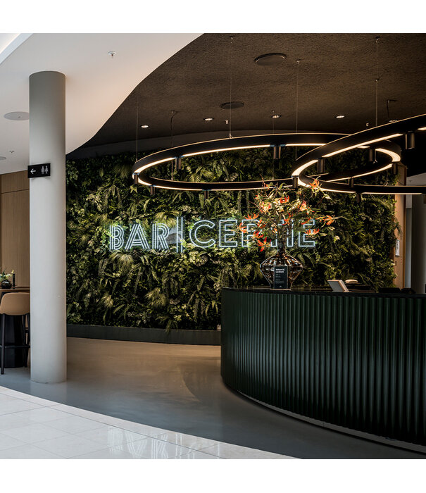 Greenwall / m² 1 m²