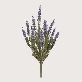 Lavendel Steker Lila H30 UV
