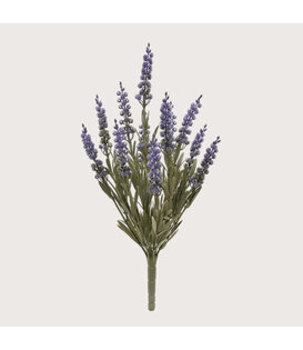 Lavendel Steker Lila H30 UV