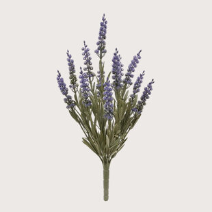 Lavendel Steker Lila H30 UV