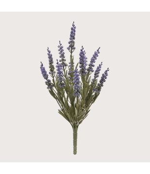 Lavendel Steker Lila H30 UV