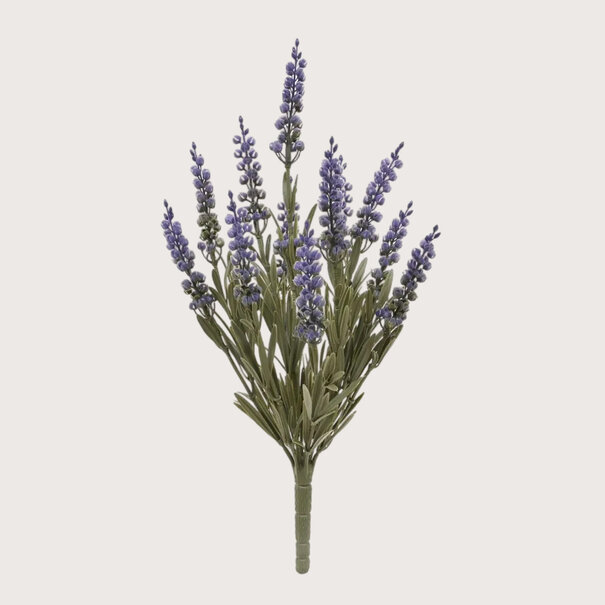Lavender Stick Lilac H30 UV