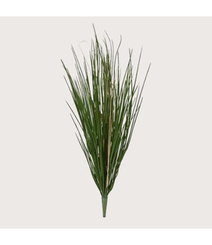 Artificial grass Plug Green UV H70