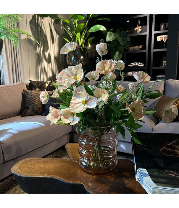 Cosmos (3-branch) Peach H80