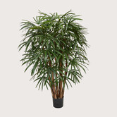 Raphis Deluxe XL Groen H130 D95