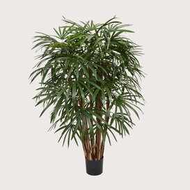 Raphis Deluxe XL Groen H130 D95
