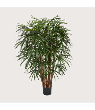 Raphis Deluxe XL Groen H130 D95