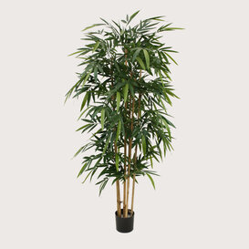 Bamboe Deluxe Groen H180 D65