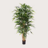 Bamboo Deluxe Green H180 D90