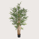 Bamboo Plant UV Green H230 D90