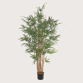 Bamboo Plant UV Green H230 D90