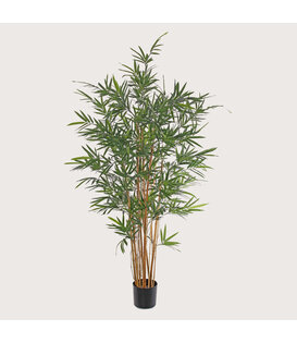 Bamboo Plant UV Green H230 D90