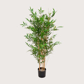 Japanese Bamboo UV Green H125 D70