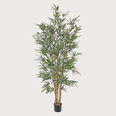 Bamboo plant UV Green H195 D80